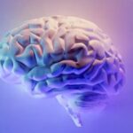 HOW TO EXERCISE YOUR BRIAN